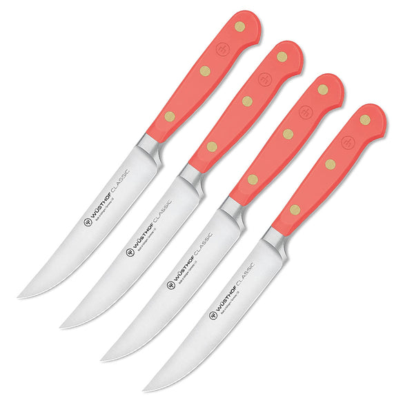 Class Quality 4'' Steak Knife Set, 9 Piece 8 Steak Knives with a